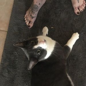 Meet your Posher, Courtney